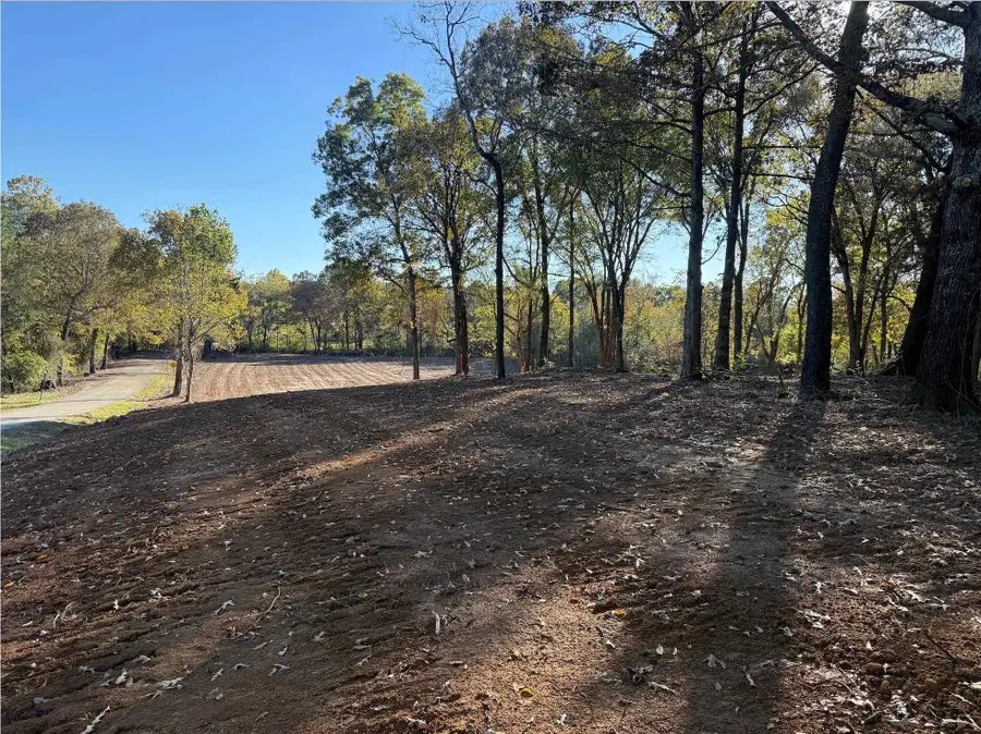 5 ACRES BURNETTE RD, Williston, TN 38076 - Image #2