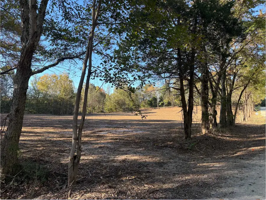 5 ACRES BURNETTE RD, Williston, TN 38076 - Image #3