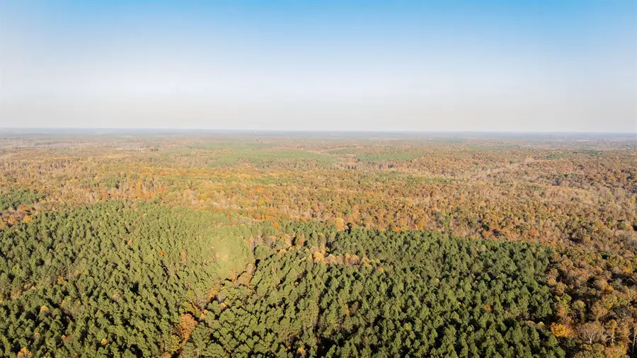 GOOCH STORE RD, Hornsby, TN 38044 - Image #2