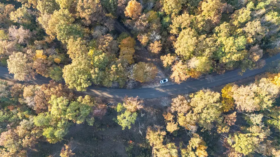 GOOCH STORE RD, Hornsby, TN 38044 - Image #3