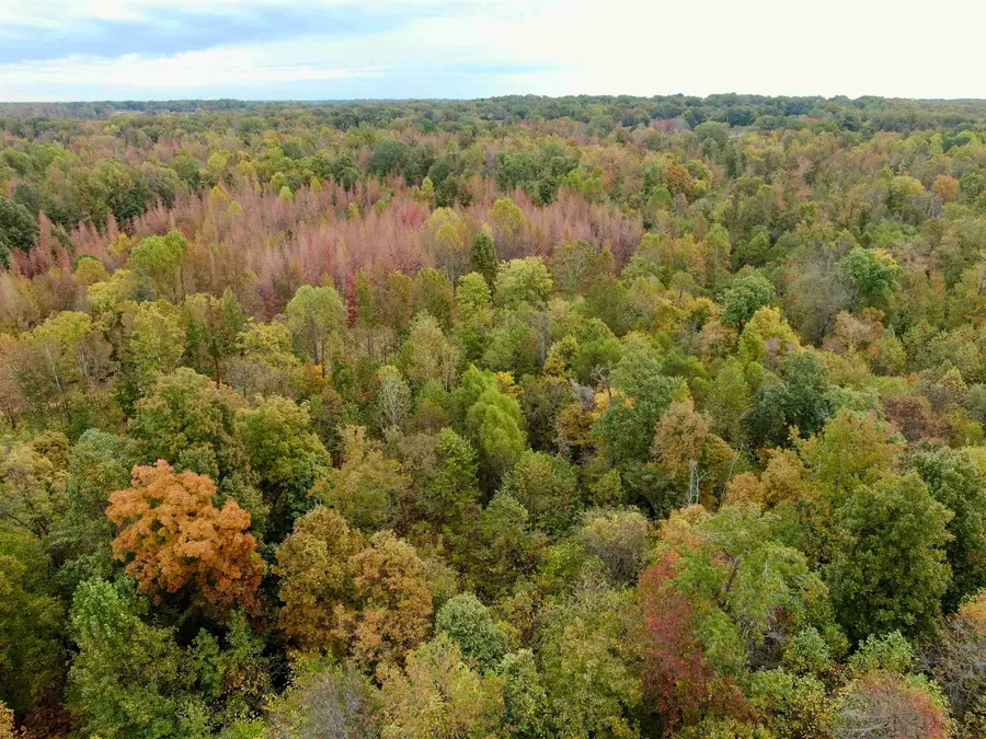 FAYE BARFIELD RD, Henning, TN 38041 - Image #2