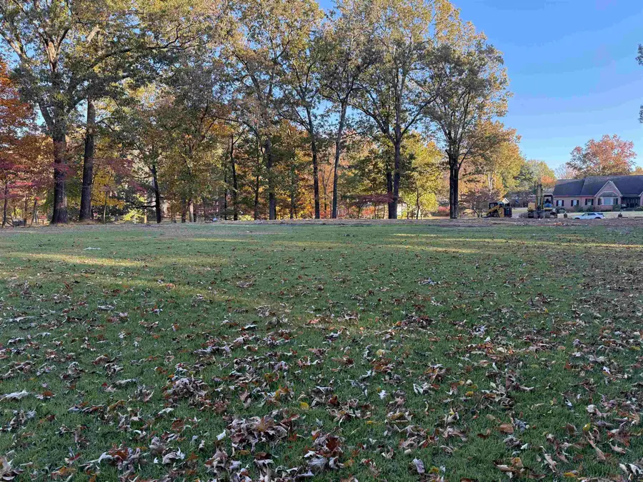 3645 CLAIRICE CV N, Bartlett, TN 38133 - Image #2