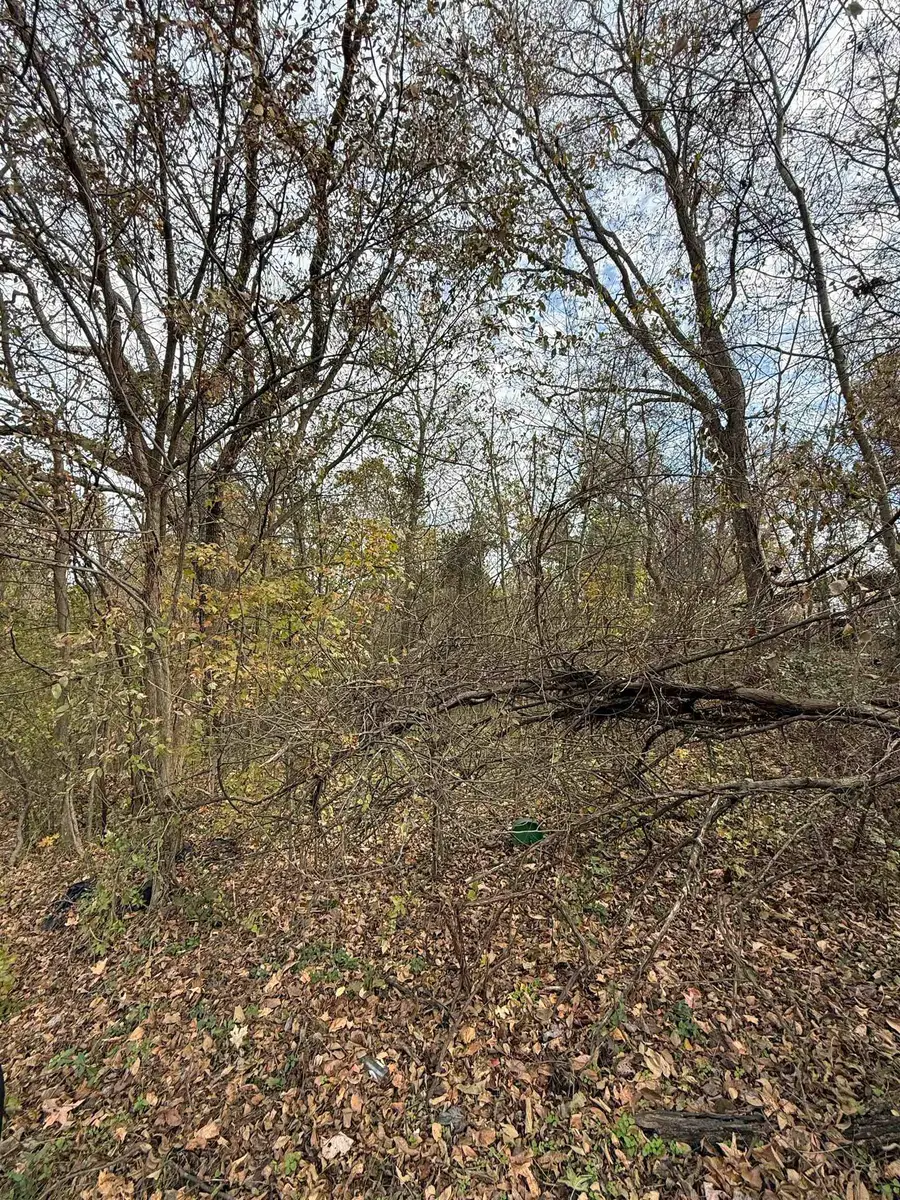 0 TICHENOR ST, Ripley, TN 38063 - Image #3