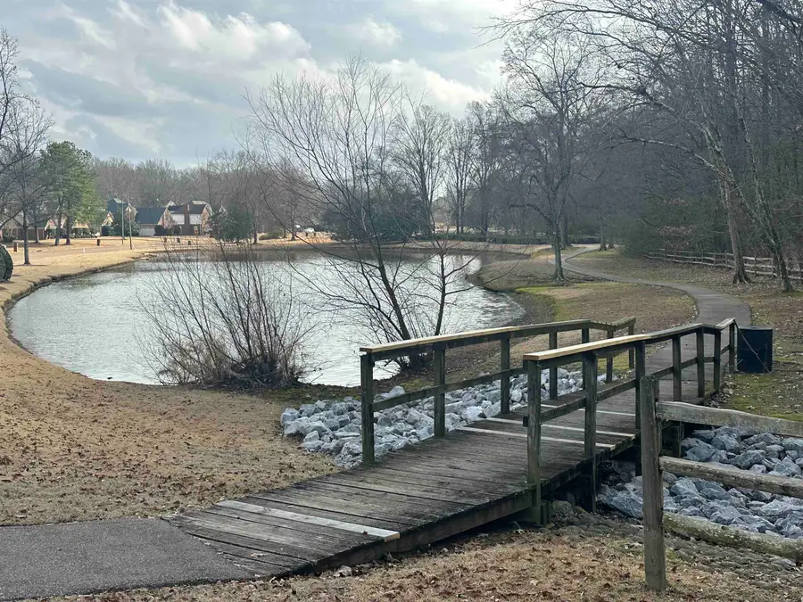 8766 WOOD MILLS CV W, Cordova, TN 38016 - Image #3