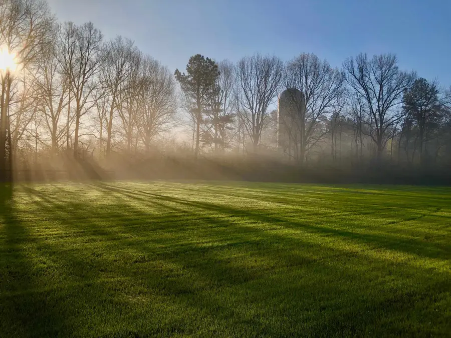 12607 RIVERBY LN, Collierville, TN 38017 - Image #3