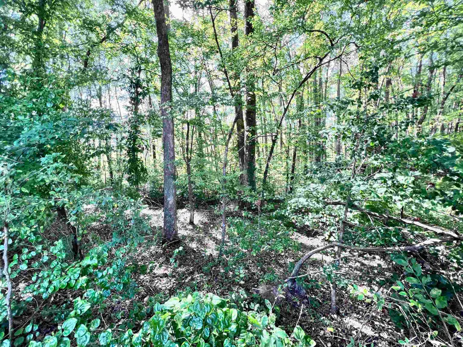 0 HWY 22 HWY, McKenzie, TN 38201 - Image #2