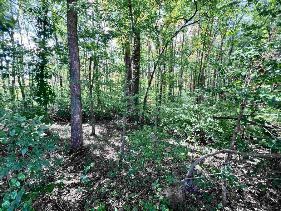 0 HWY 22 HWY, McKenzie, TN 38201 - Image #3