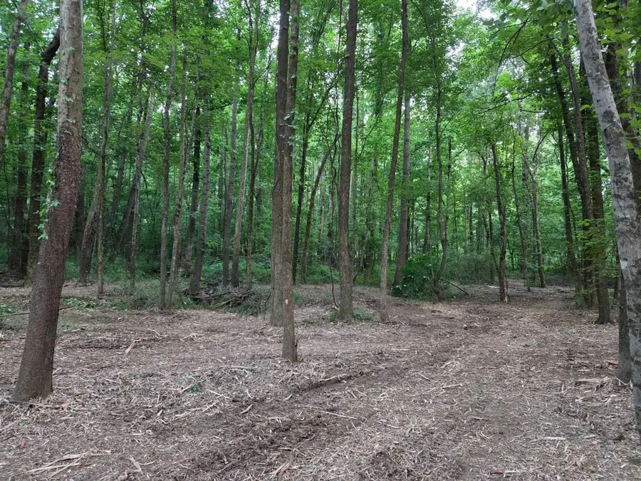 0 BILLY MAHER RD, Bartlett, TN 38135 - Image #2