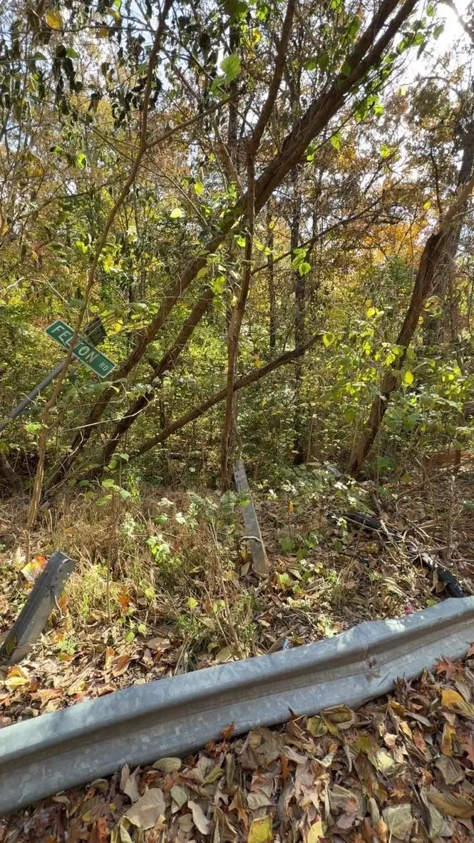 29 FELTON RD, Memphis, TN 38128 - Image #2