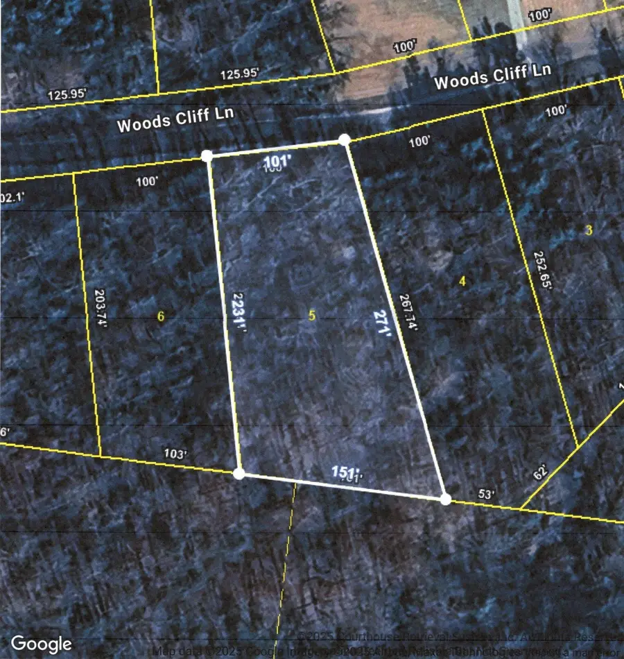 5 WOODS CLIFF LN, Savannah, TN 38372 - Image #3