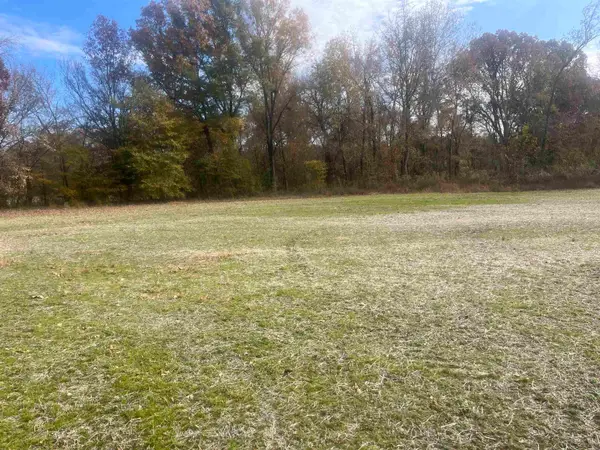 00 SCHOLES LN, Stanton, TN 38069