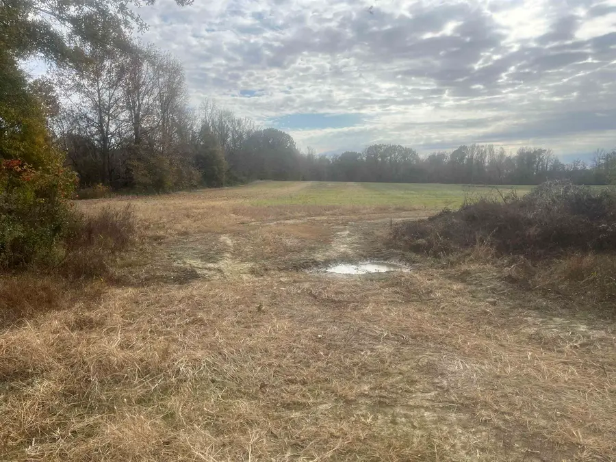 00 SCHOLES LN, Stanton, TN 38069 - Image #2