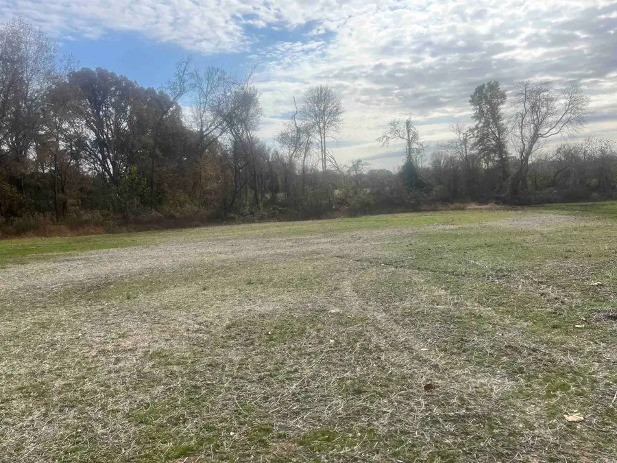 00 SCHOLES LN, Stanton, TN 38069 - Image #3