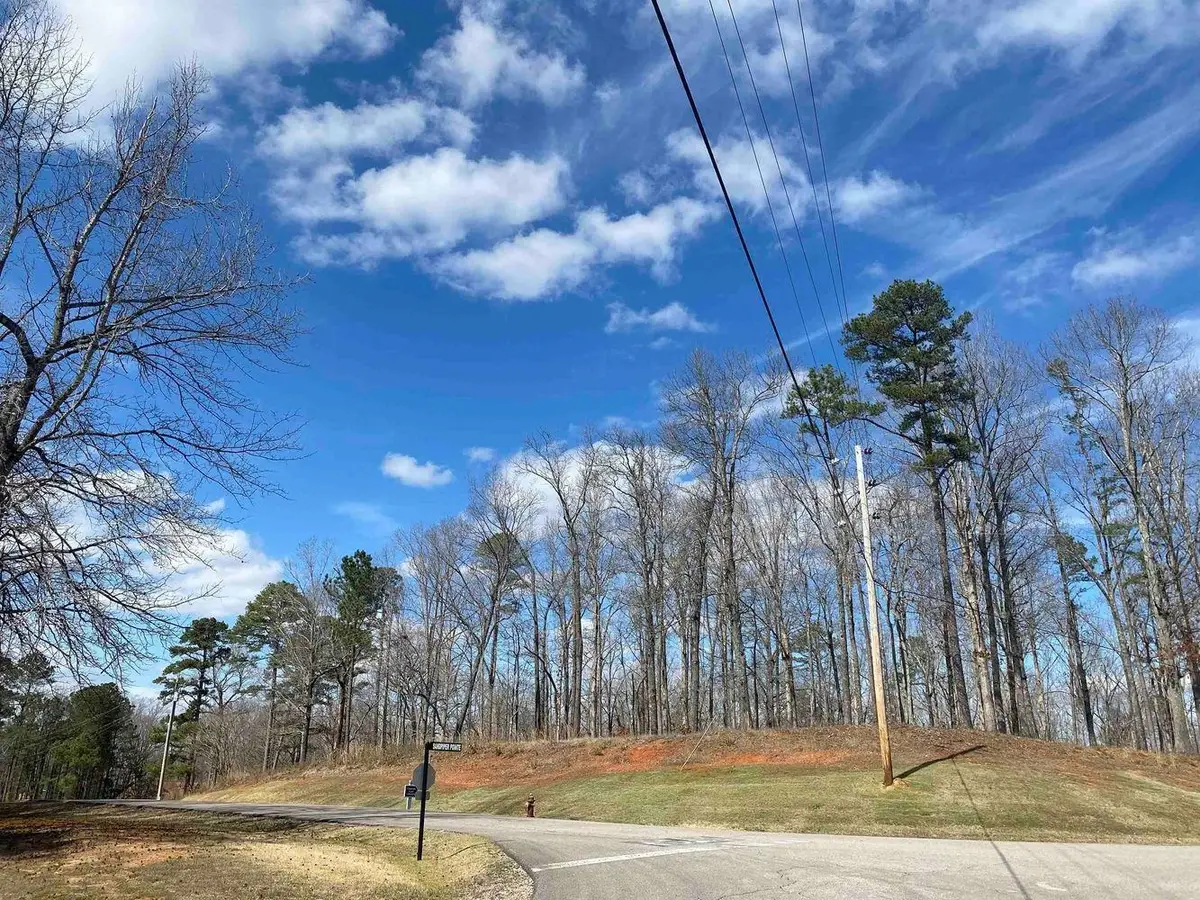 LOT 269 SANDPIPER POINTE & OLD SOUTH RD, Counce, TN 38326 - Image #1