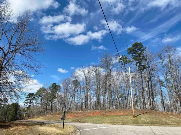 LOT 269 SANDPIPER POINTE & OLD SOUTH RD, Counce, TN 38326