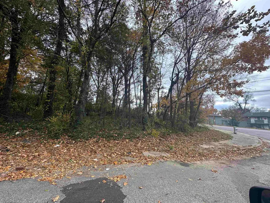 2308 KETCHUM RD, Memphis, TN 38114 - Image #3