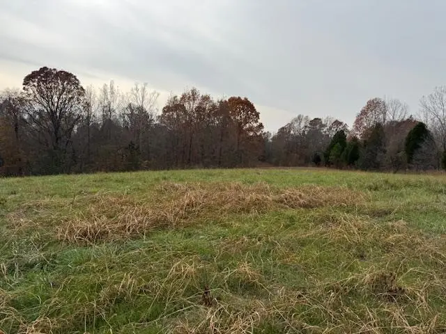 KELLER RD, Toone, TN 38381 - Image #3