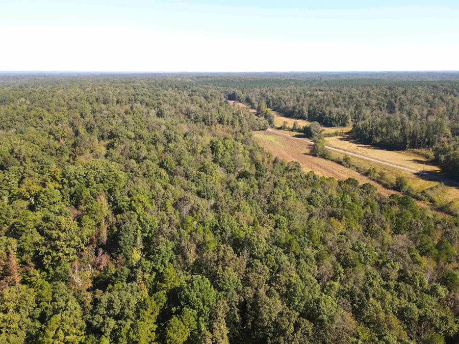 VERNIE KIRK RD, Pocahontas, TN 38061 - Image #2