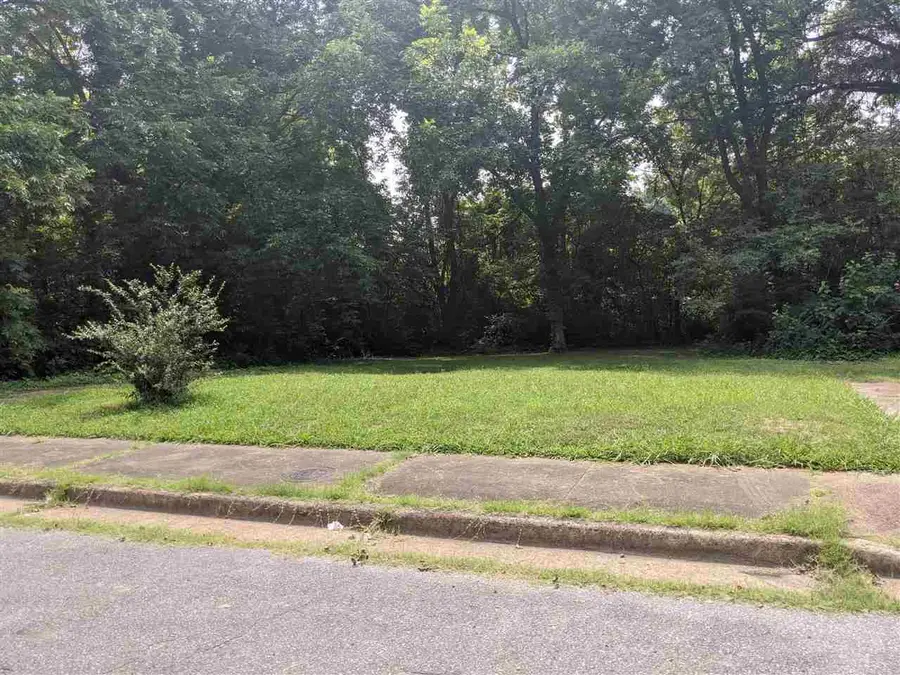 0 DUBLIN DR #LOTS 20 & 21 LAST TWO LOTS ON RIGHT IN A COVE ), Memphis, TN 38114 - Image #3