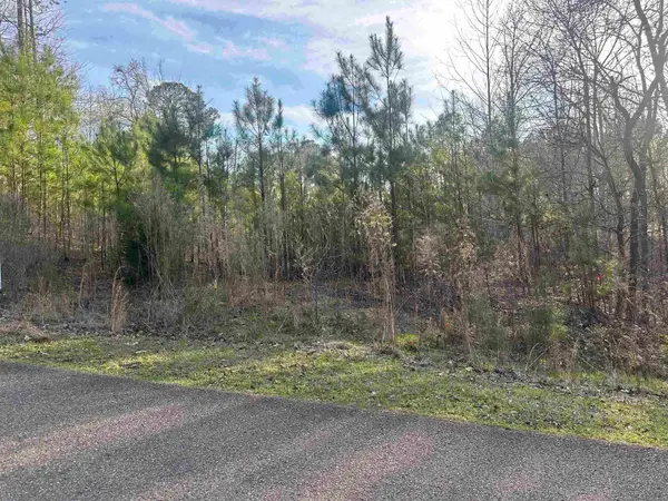 0 SHILOH FALLS COURT RD, Counce, TN 38372-9999