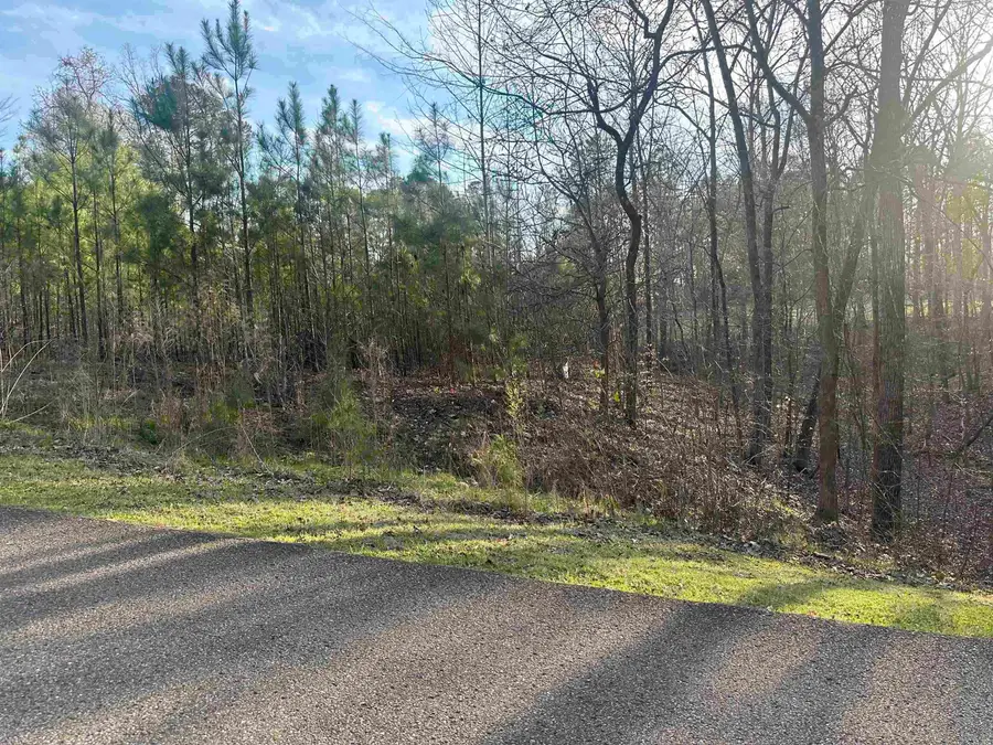 0 SHILOH FALLS COURT RD, Counce, TN 38372-9999 - Image #2