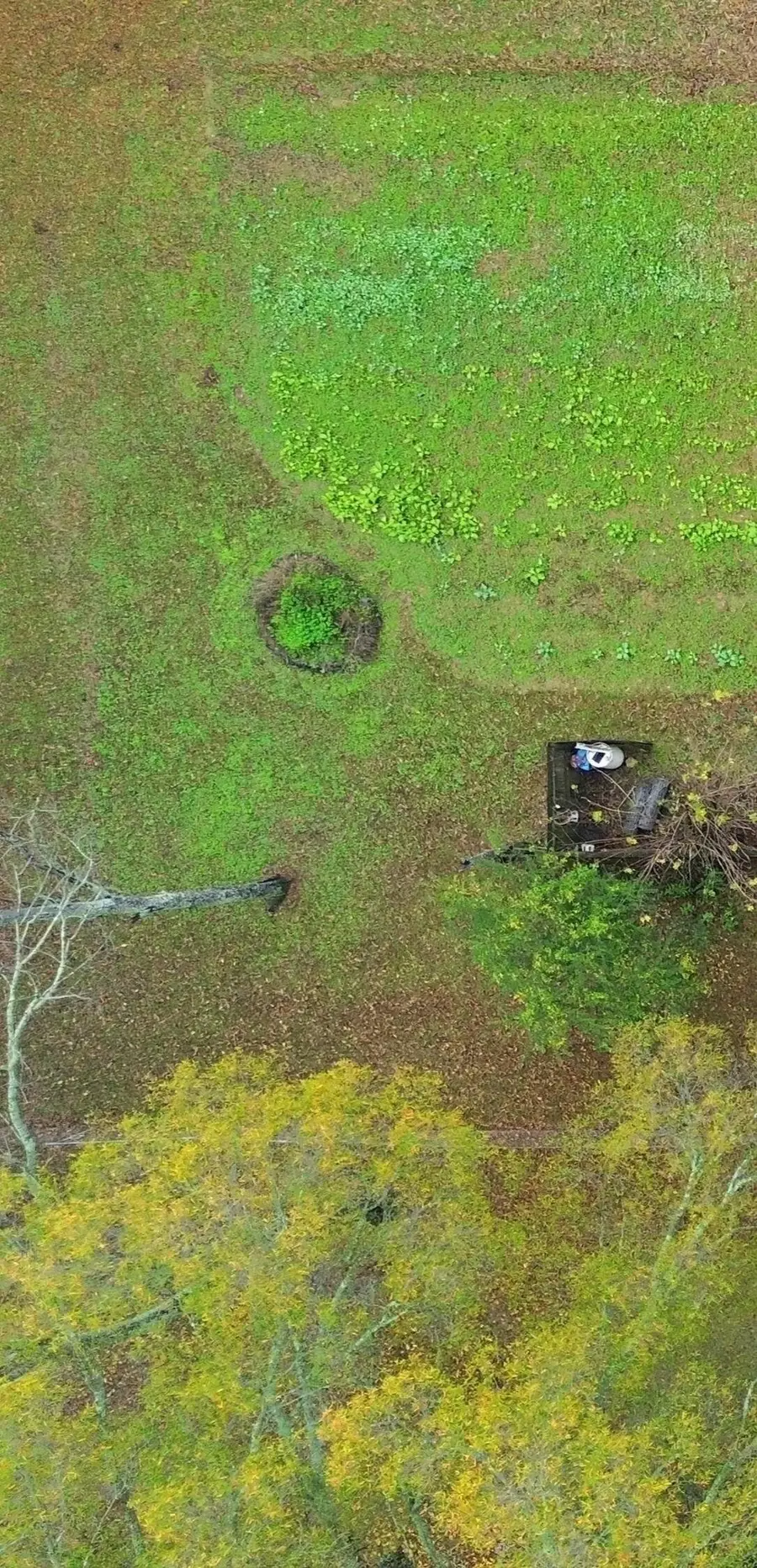 PALMER RD, Memphis, TN 38116 - Image #2