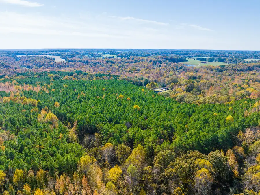 HWY 641 HWY, Puryear, TN 38251 - Image #3