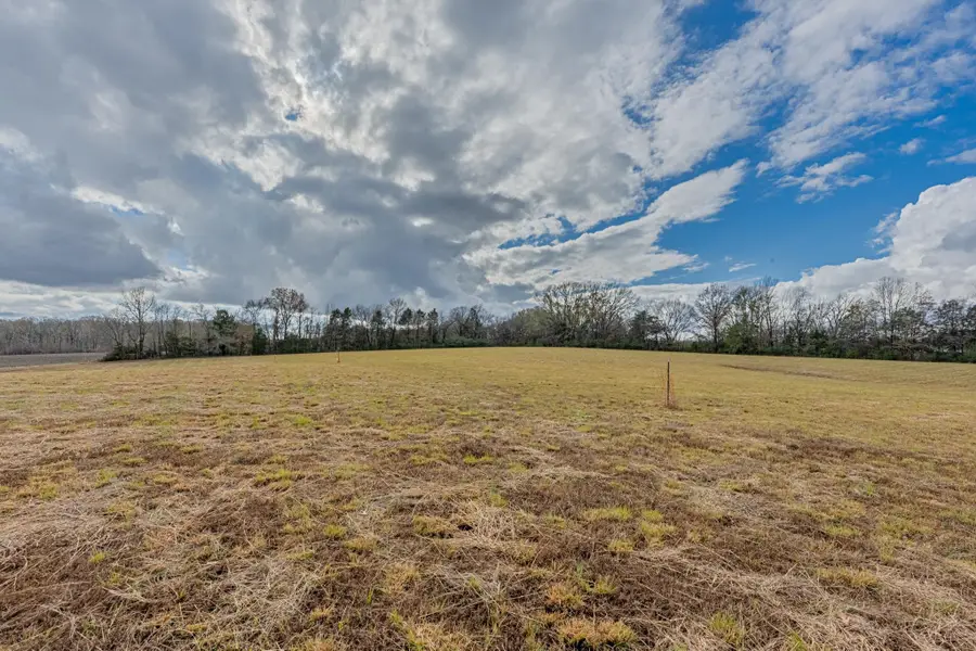 0 FEATHERS CHAPEL DR, Somerville, TN 38068 - Image #2