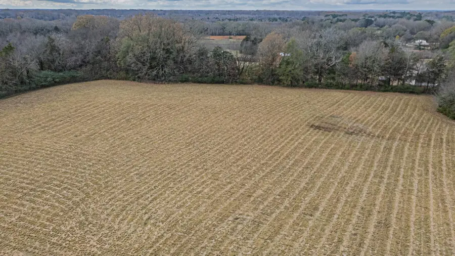 0 FEATHERS CHAPEL DR, Somerville, TN 38068 - Image #3