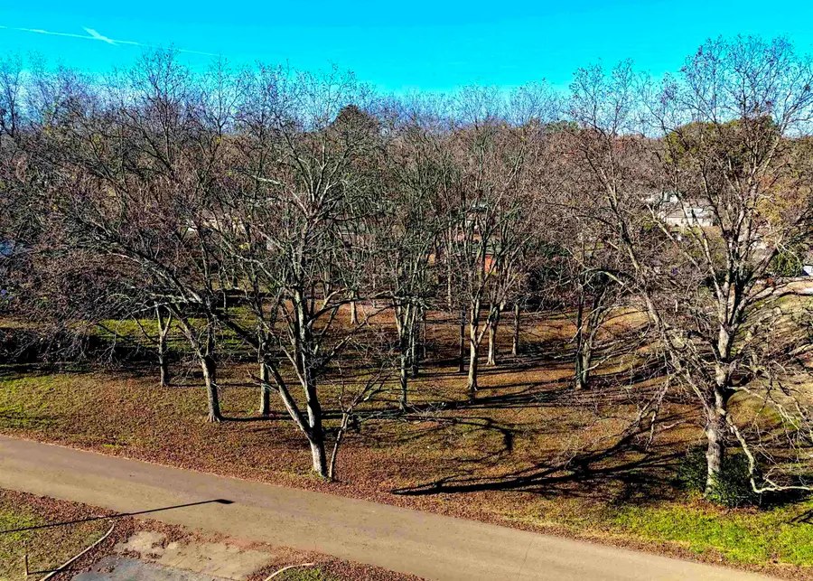 0 CRIGGER ST, Munford, TN 38058 - Image #3