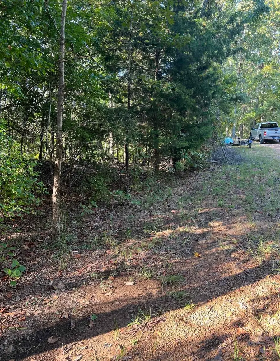 323 RED OAK CV, Saulsbury, TN 38067 - Image #3