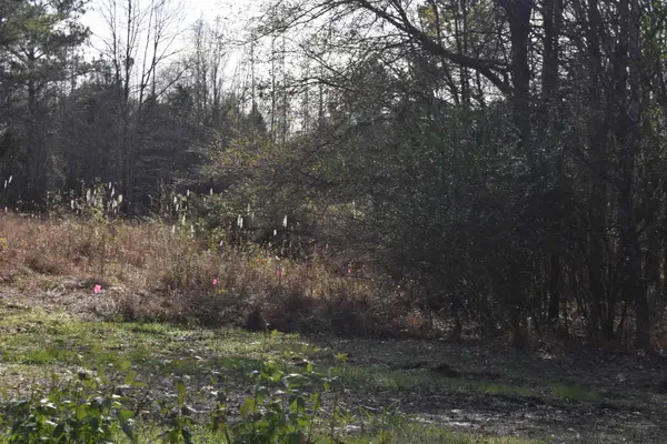 0 193 HWY, Rossville, TN 38066