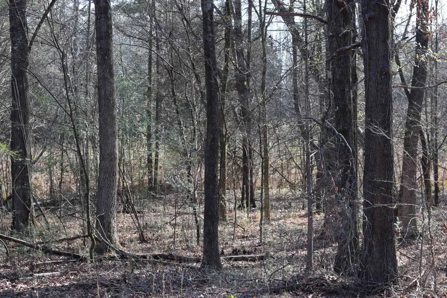 0 193 HWY, Rossville, TN 38066 - Image #3