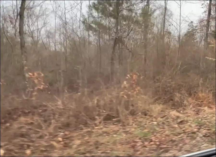 0 SAND RIDGE LN, Huron, TN 38345 - Image #2