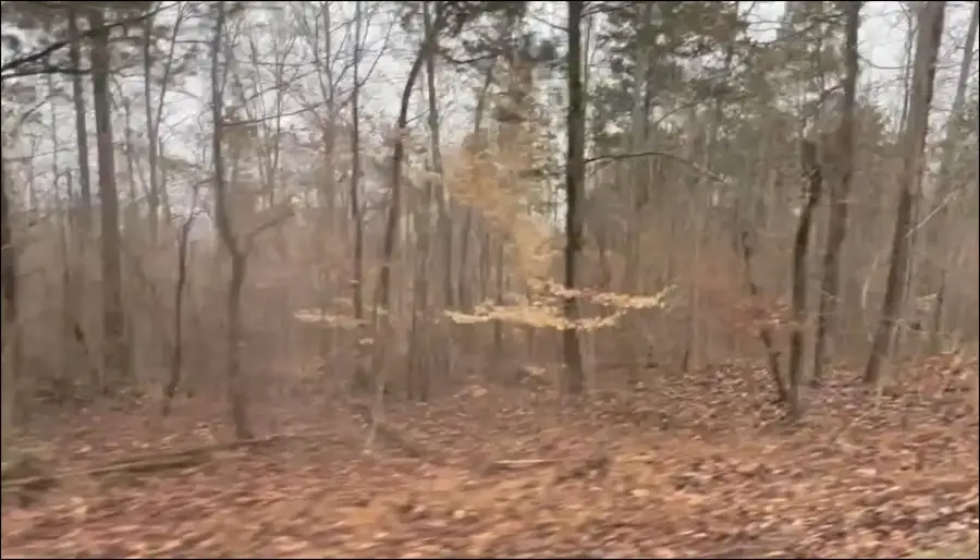 0 SAND RIDGE LN, Huron, TN 38345 - Image #3