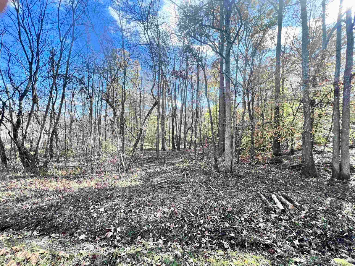 0 POND BRANCH RD #Lot 4 (6.52 acres), Buena Vista, TN 38318 - Image #1