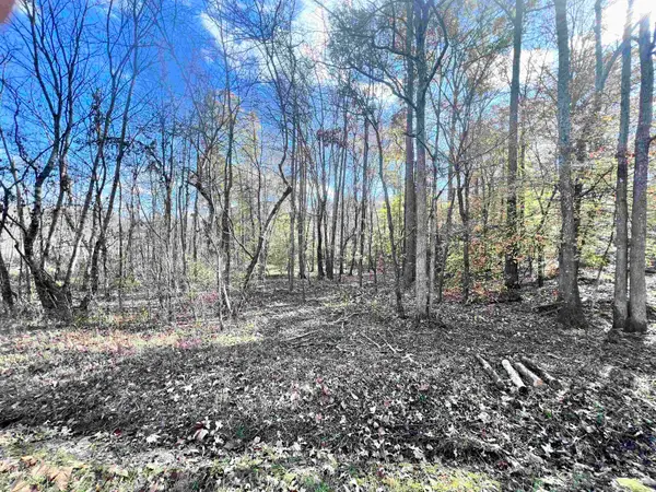 0 POND BRANCH RD #Lot 4 (6.52 acres), Bruceton, TN 38318