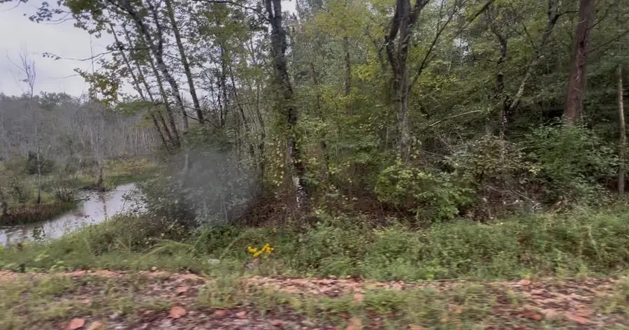 0 POND BRANCH RD #Lot 4 (6.52 acres), Buena Vista, TN 38318 - Image #2