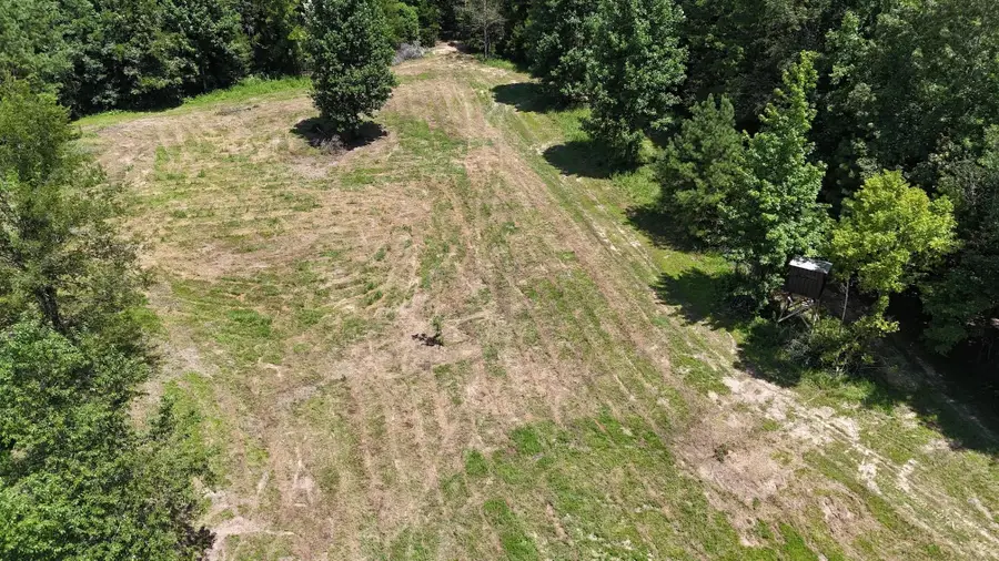 1476 MAJOR HILL ROAD RD, Bethel Springs, TN 38315 - Image #3