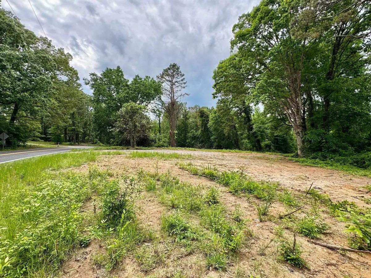 0 SILERTON ROAD RD, Toone, TN 38381 - Image #1