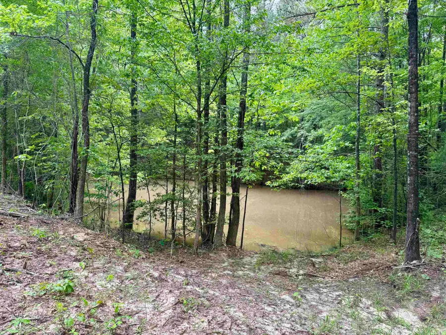 0 SILERTON ROAD RD, Toone, TN 38381 - Image #2