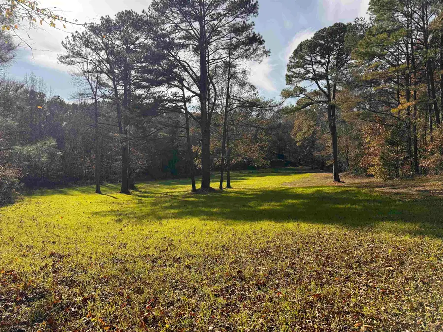 0 SILERTON ROAD RD, Toone, TN 38381 - Image #3