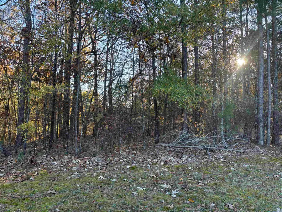 182 FAWN DR #WR182, Middleton, TN 38052 - Image #3