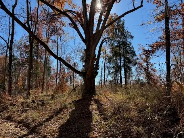 100 HWY, Medon, TN 38356 - Image #2