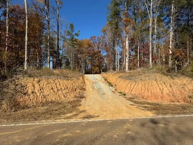 100 HWY, Medon, TN 38356 - Image #3