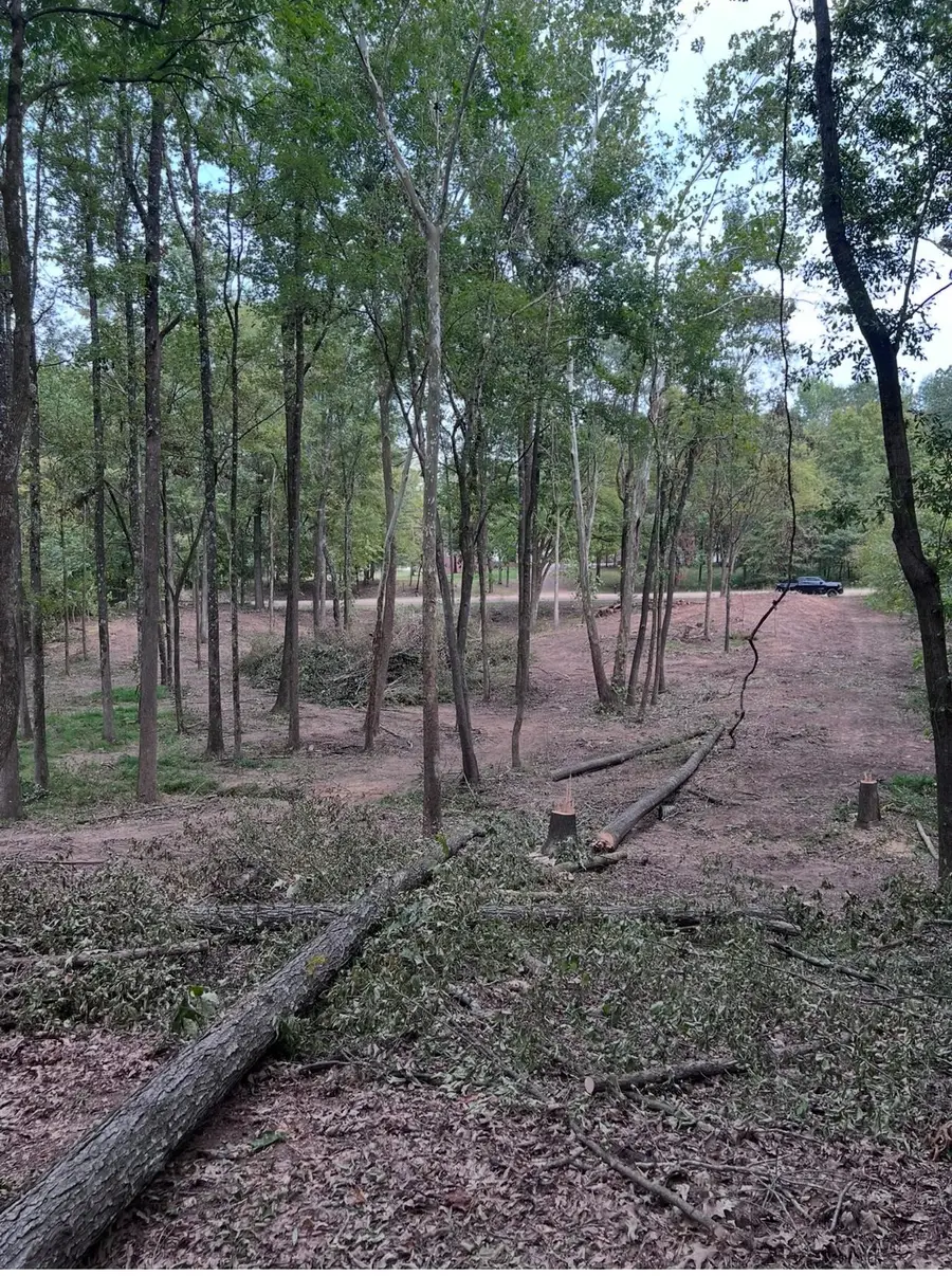 4491 AIRLINE DR, Arlington, TN 38002 - Image #3