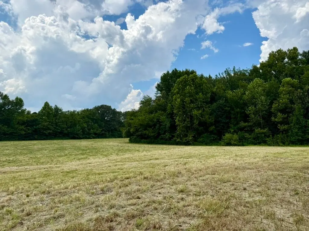 0 BELL GROVE RD, Eads, TN 38028 - Image #1