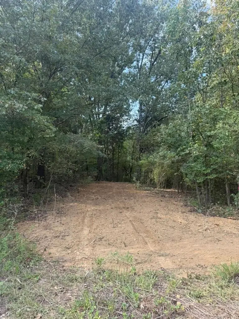 0 BELL GROVE RD, Eads, TN 38028 - Image #2