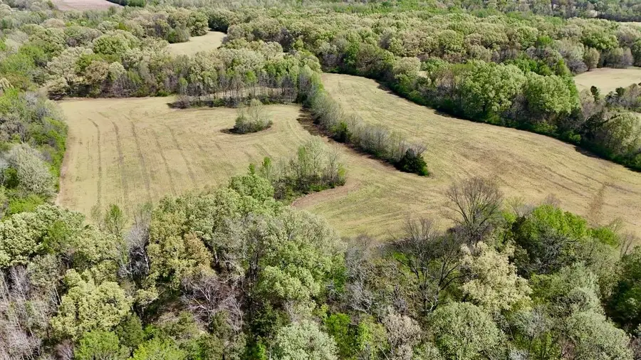 0 BELL GROVE RD, Eads, TN 38028 - Image #3