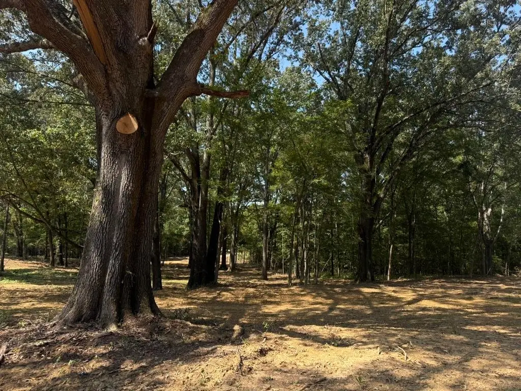 25 BELL GROVE RD, Eads, TN 38028 - Image #1